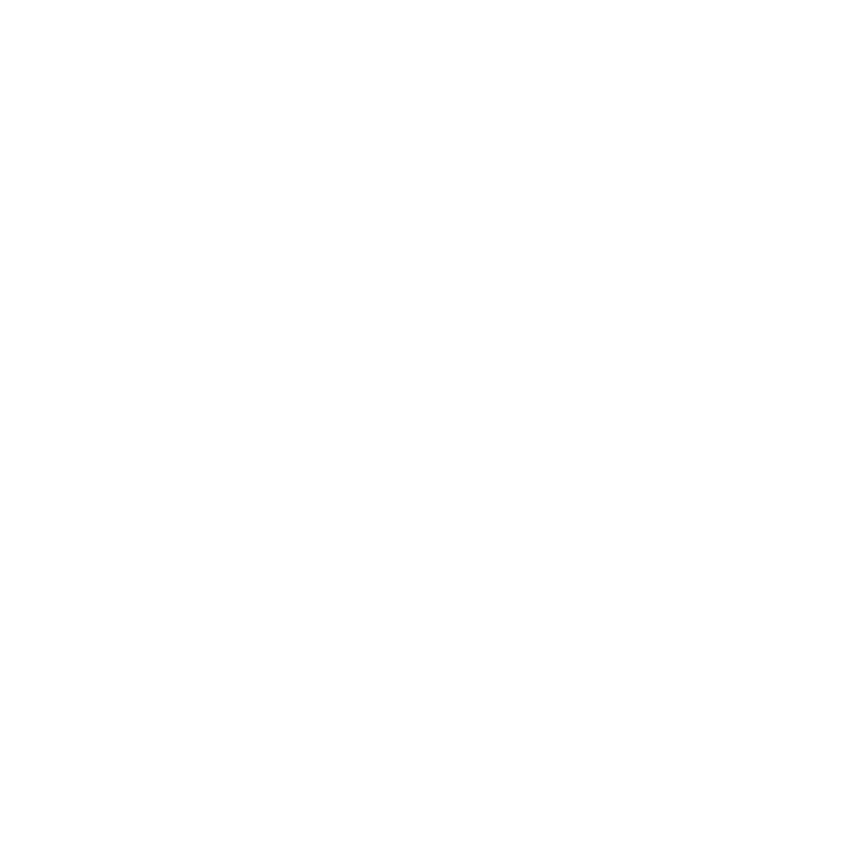 NOOXIA Logo